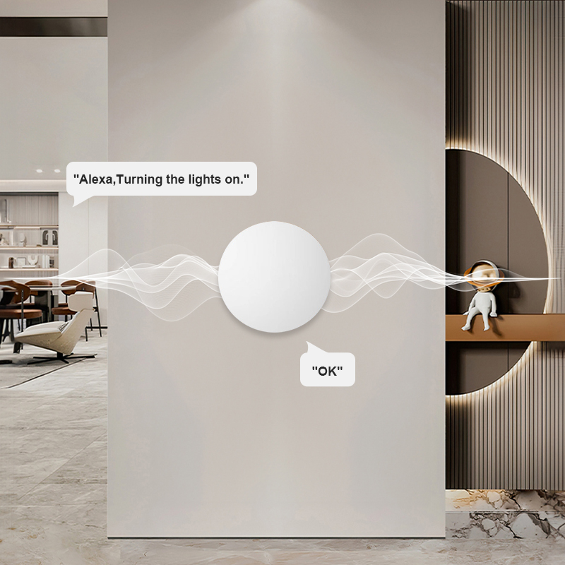 ZigBee Smart Wireless Button S - đánh giá và giá Home Office Google